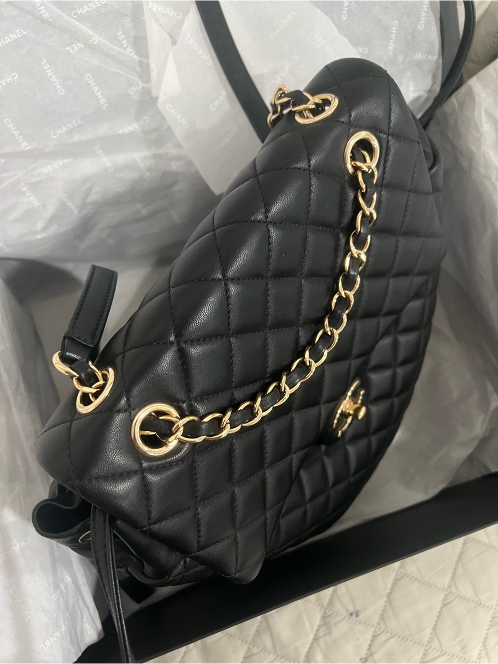 Chanel Quilted Lambskin Backpack - Picture 3 of 10